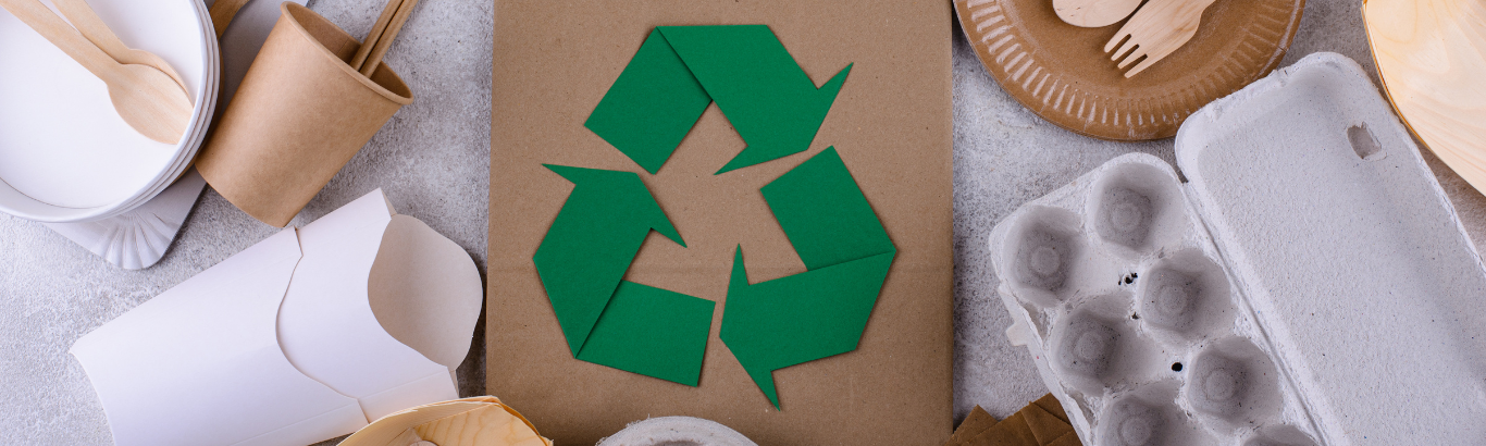 Papel Reciclado vs Papel Sustentable?