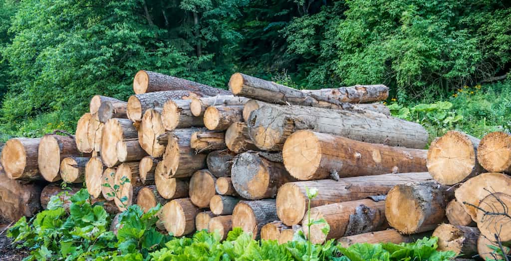 la impresión sostenible